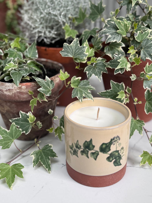 Candle - "Wintering"
