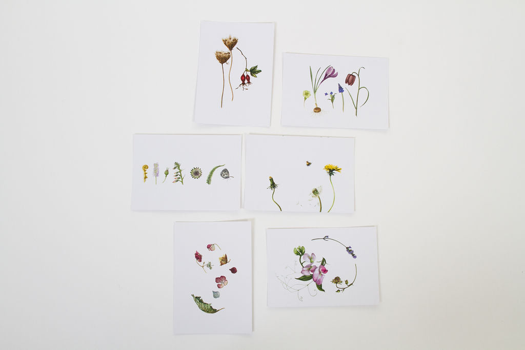 Botanical postcards