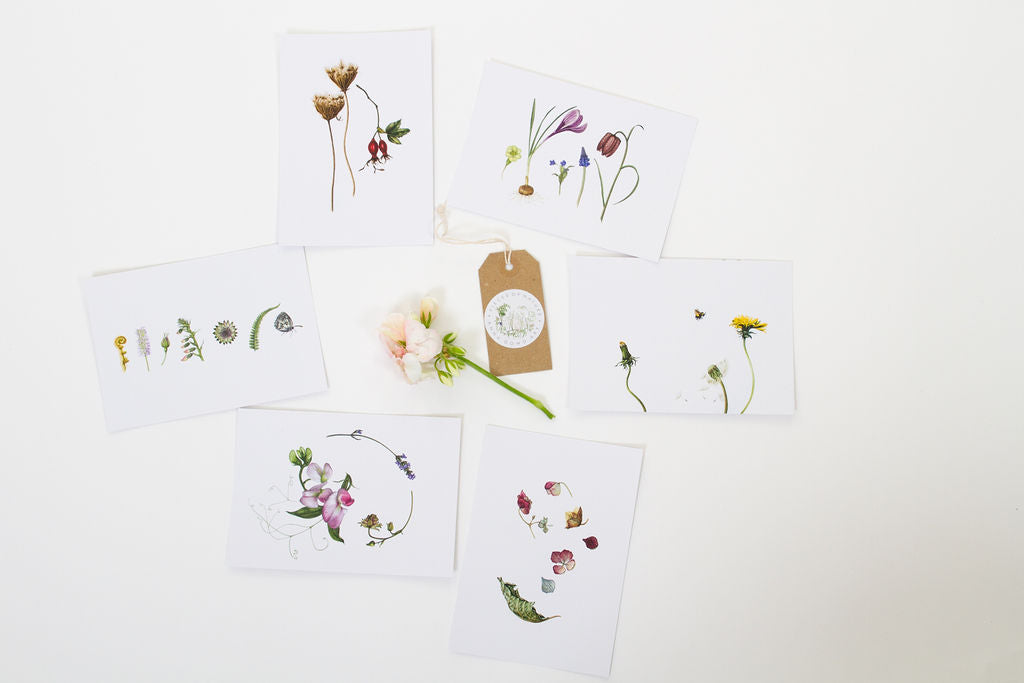 Botanical postcards