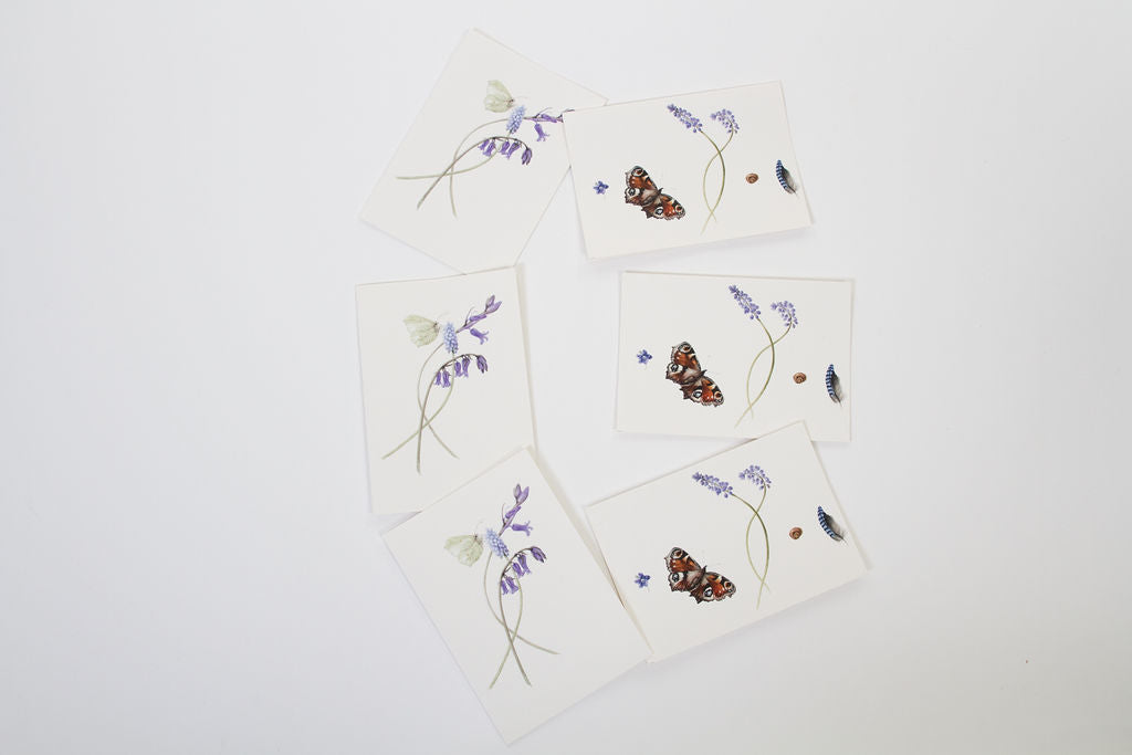 Butterflies Card Gift Box