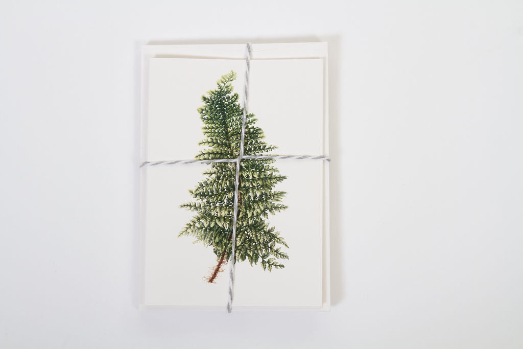 Fern Card Gift Box