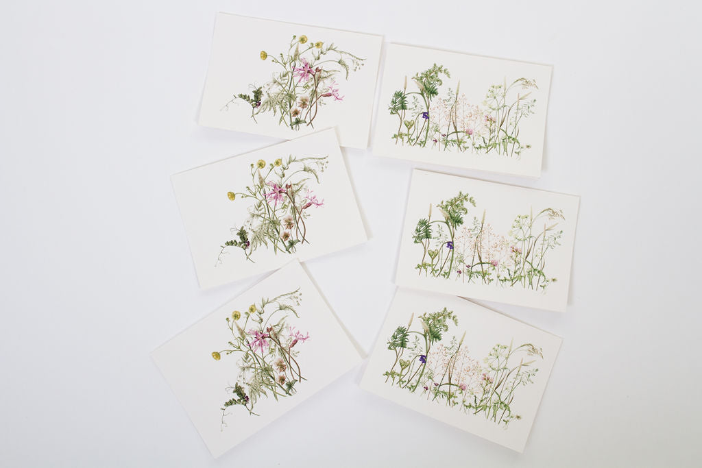 Wildflowers Card Gift Box