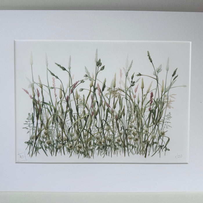 Clover Meadow- Signed Botanical Print