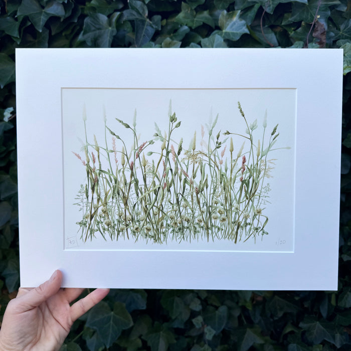 Clover Meadow- Signed Botanical Print