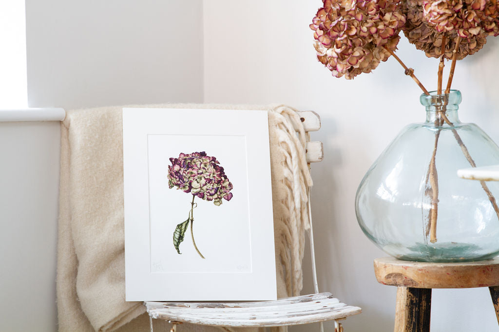 Red and Green Dried Hydrangea Print