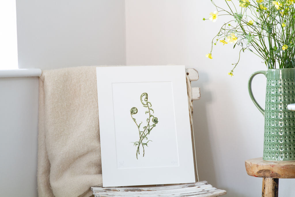 Unfurling Ferns Print