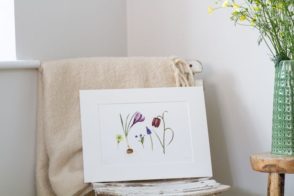 Spring Flowers and Bulbs Print