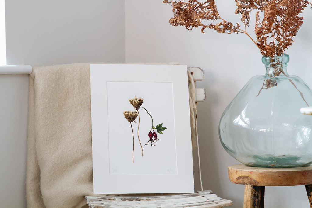 Wild Carrot and Rosehips - "Summer's End" Print