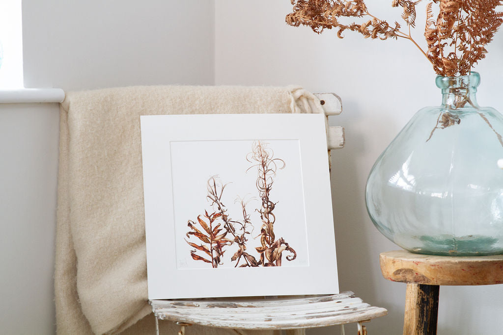 "Bombweed" - Decaying Rosebay Willowherbs Print