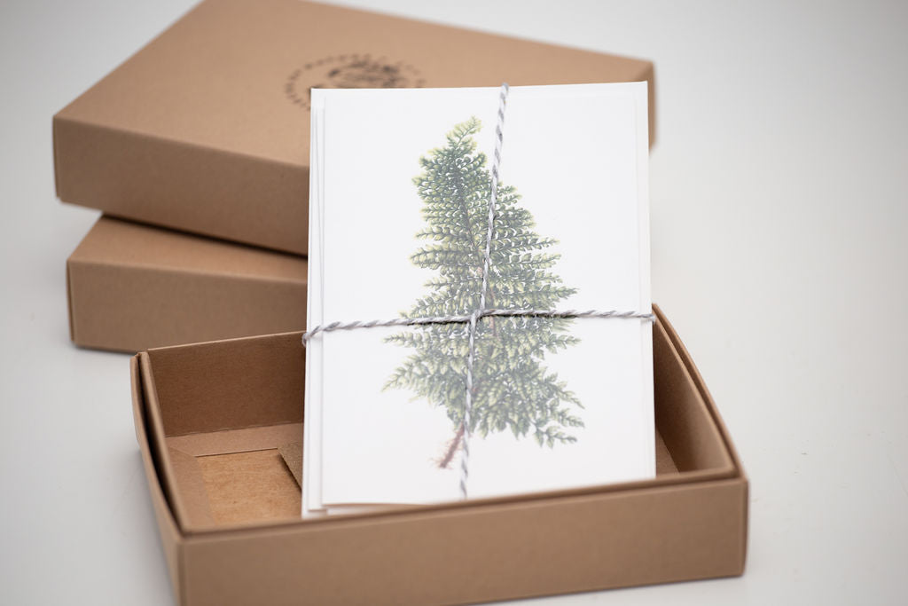 Fern Card Gift Box