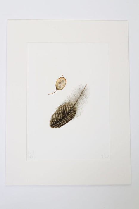 Honesty Seedpod and Guinea Fowl Feather Print