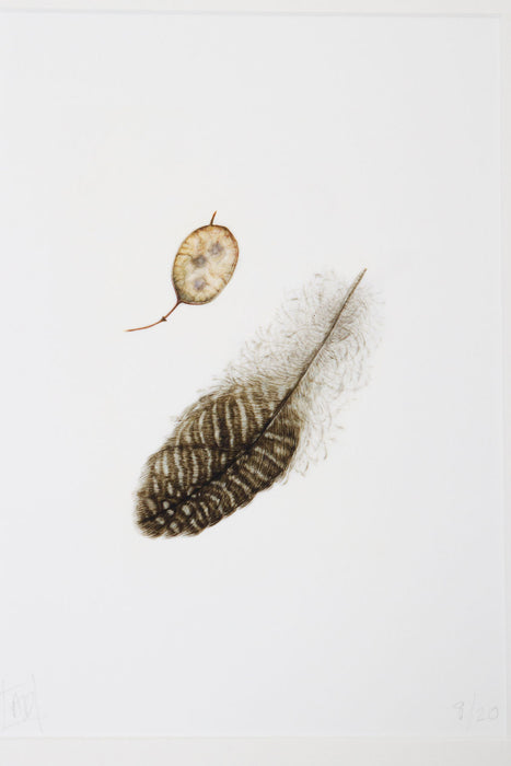 Honesty Seedpod and Guinea Fowl Feather Print