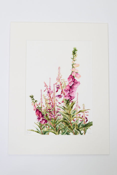 Foxgloves and Rosebay Willowherbs - Print