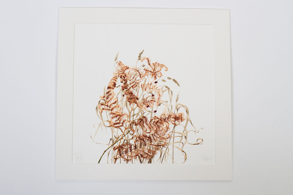 Autumn - Bracken and Rosehips Print