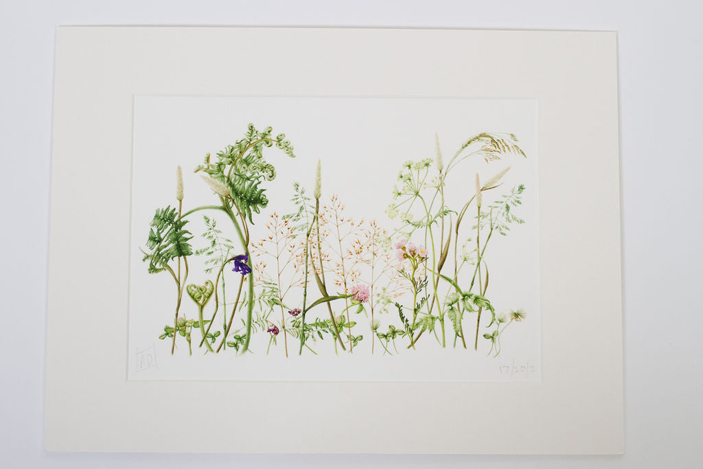 Wildflower Meadow Print