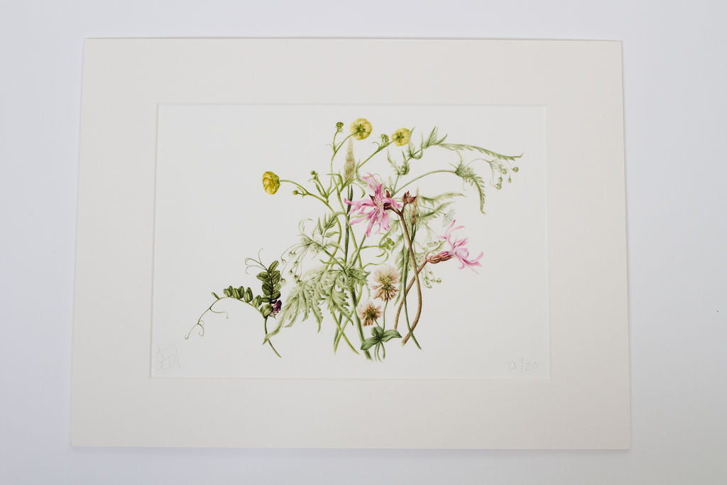 Wildflower Meadow 2 Print