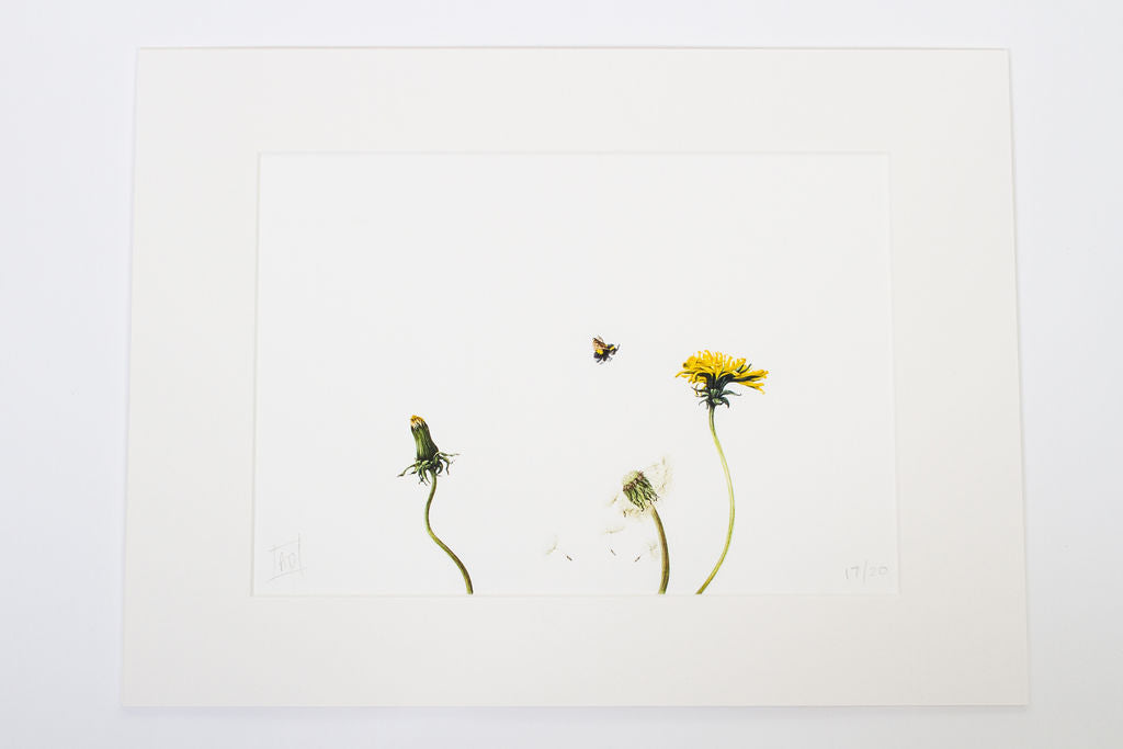 Dandelions and Bee Print