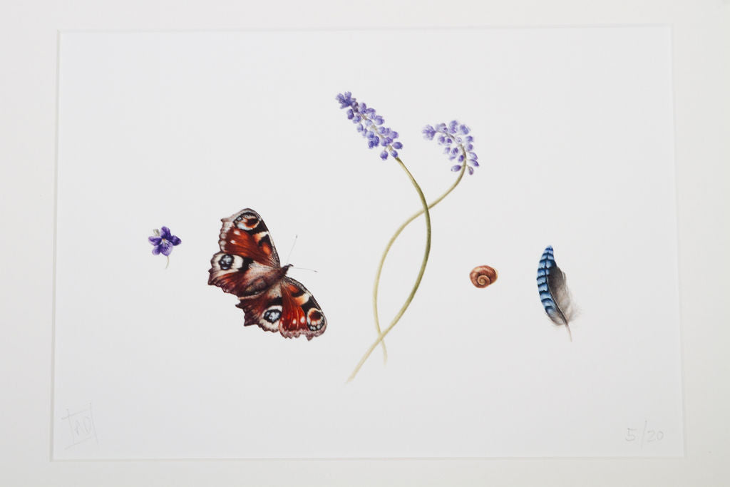 Peacock Butterfly and Spring Finds Print