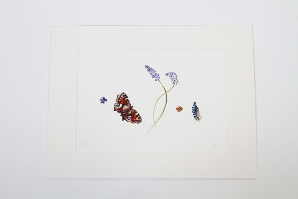 Peacock Butterfly and Spring Finds Print