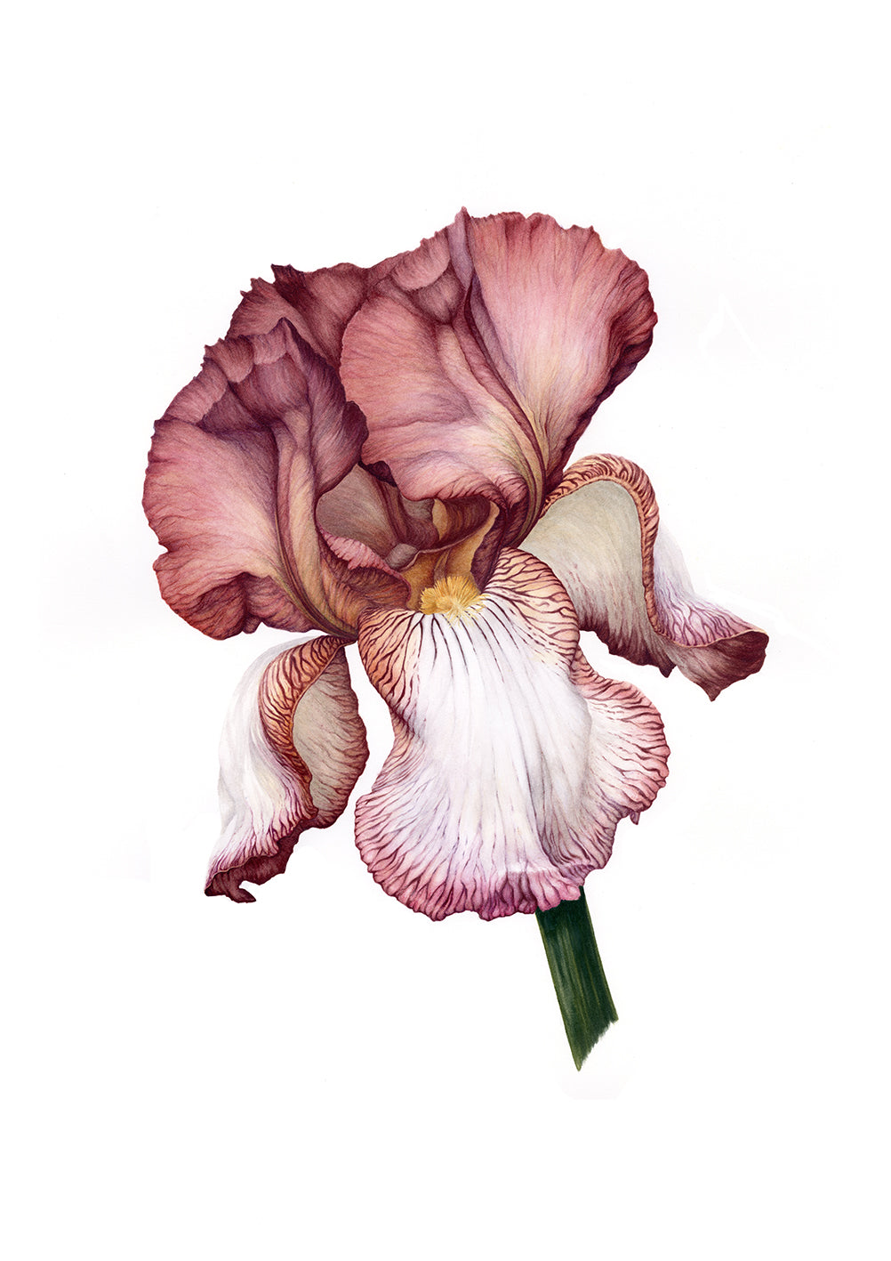 iris様オーダー品 IrisDeirdrea4_1200x1697.jpg?v=